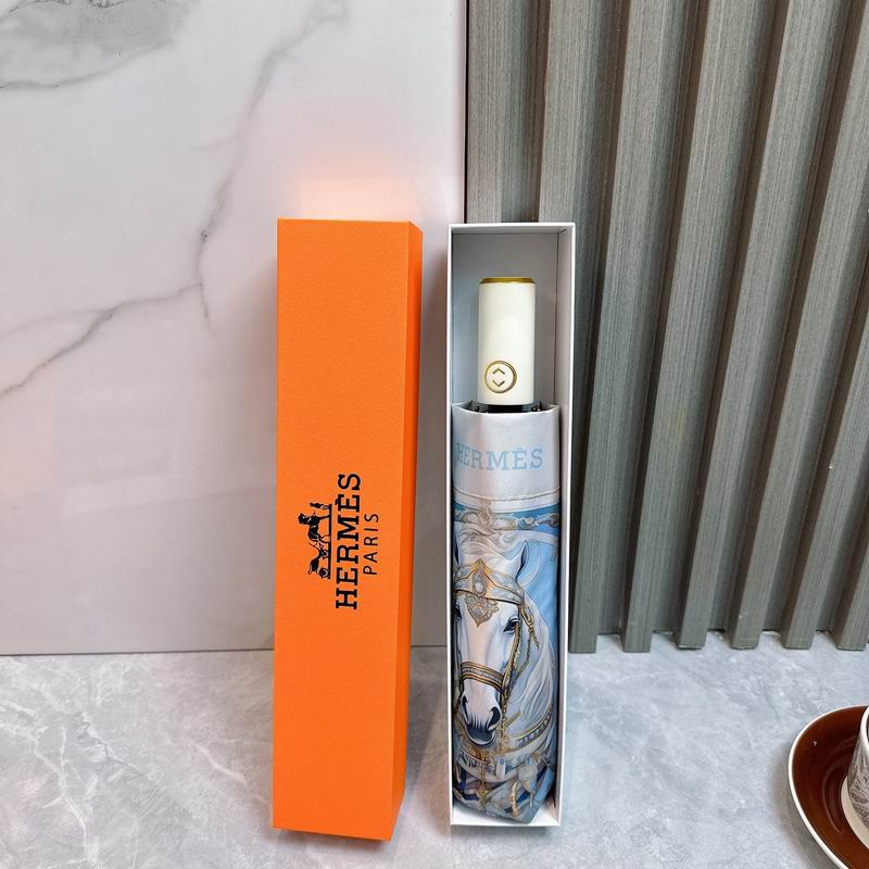 Hermes Umbrella (63)