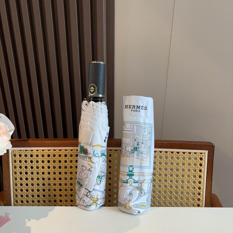 Hermes Umbrella (639)