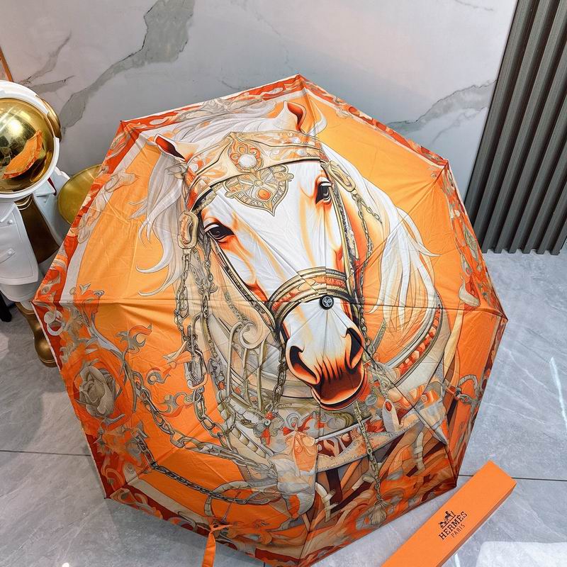 Hermes Umbrella (64)