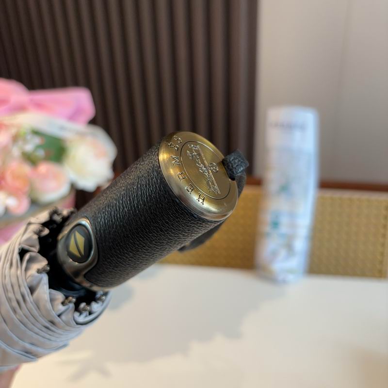 Hermes Umbrella (641)