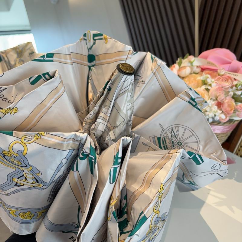 Hermes Umbrella (642)