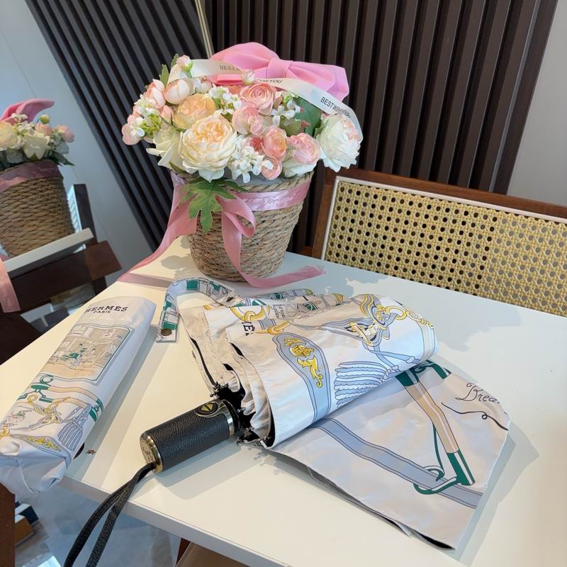 Hermes Umbrella (643)
