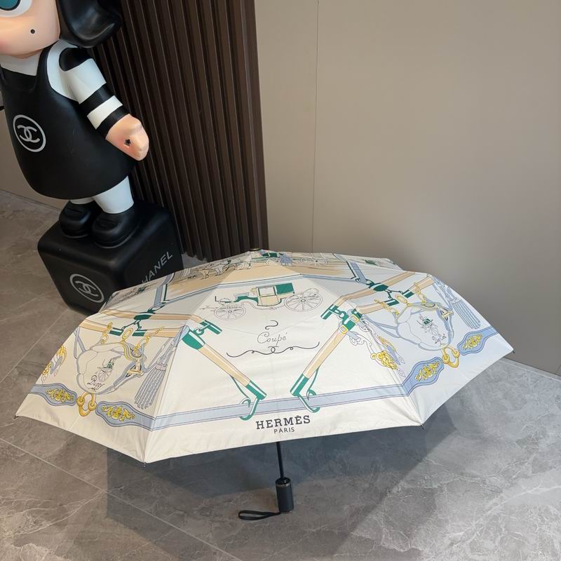Hermes Umbrella (646)