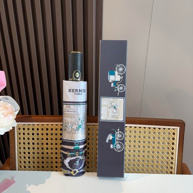 Hermes Umbrella (648)