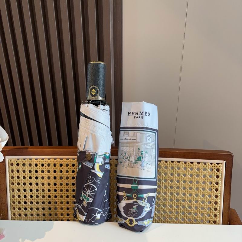 Hermes Umbrella (649)