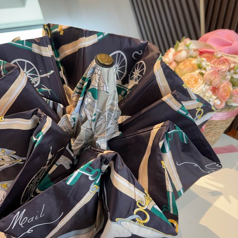 Hermes Umbrella (651)