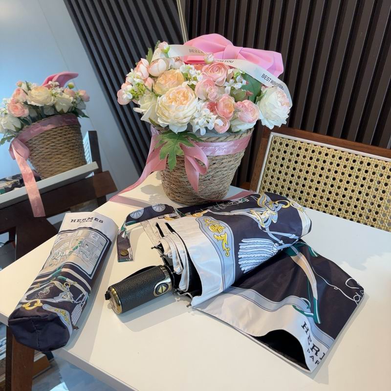 Hermes Umbrella (652)