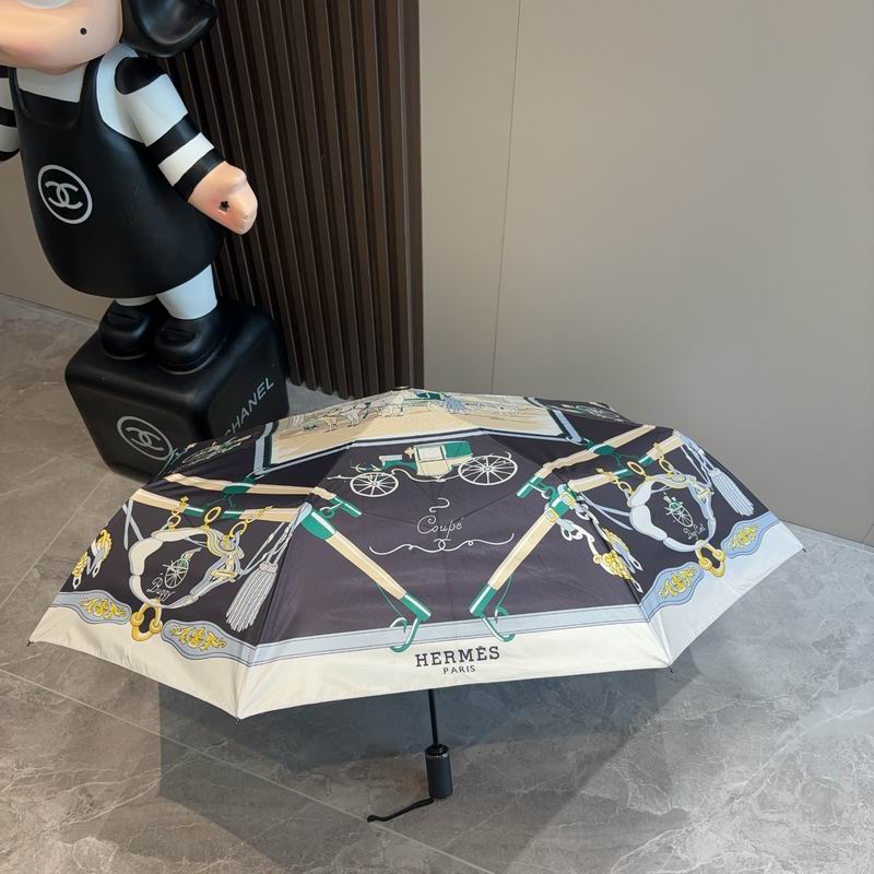 Hermes Umbrella (655)