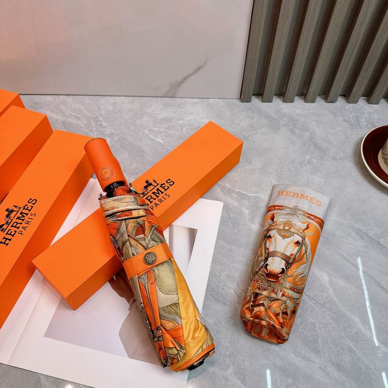 Hermes Umbrella (66)