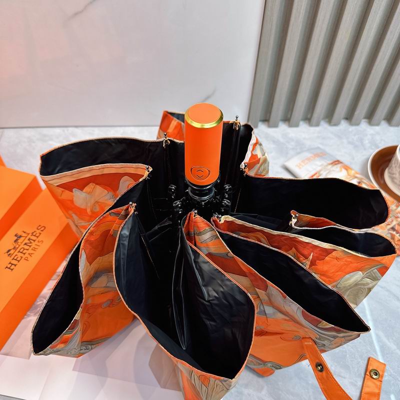 Hermes Umbrella (68)