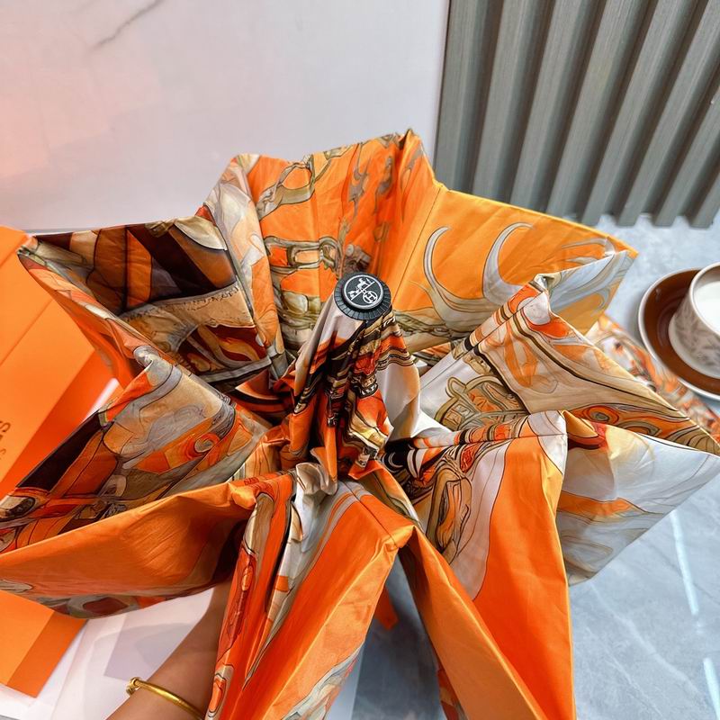Hermes Umbrella (69)