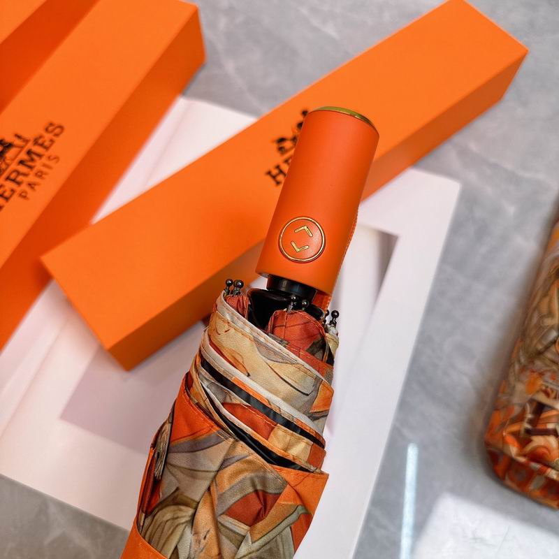 Hermes Umbrella (71)