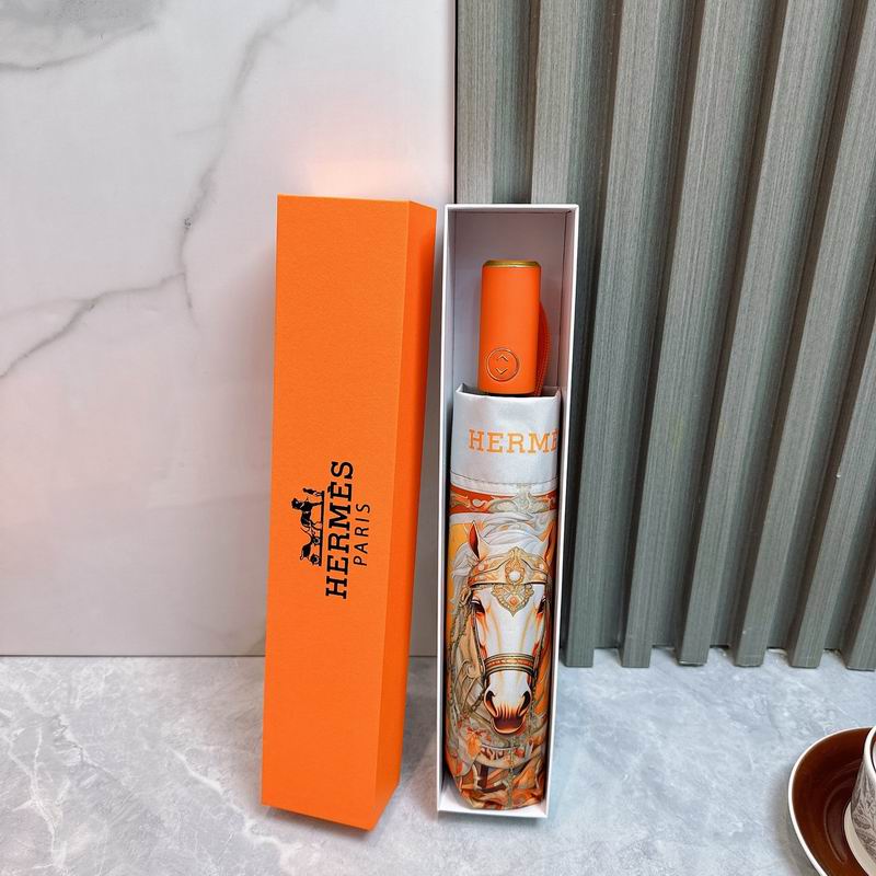 Hermes Umbrella (72)