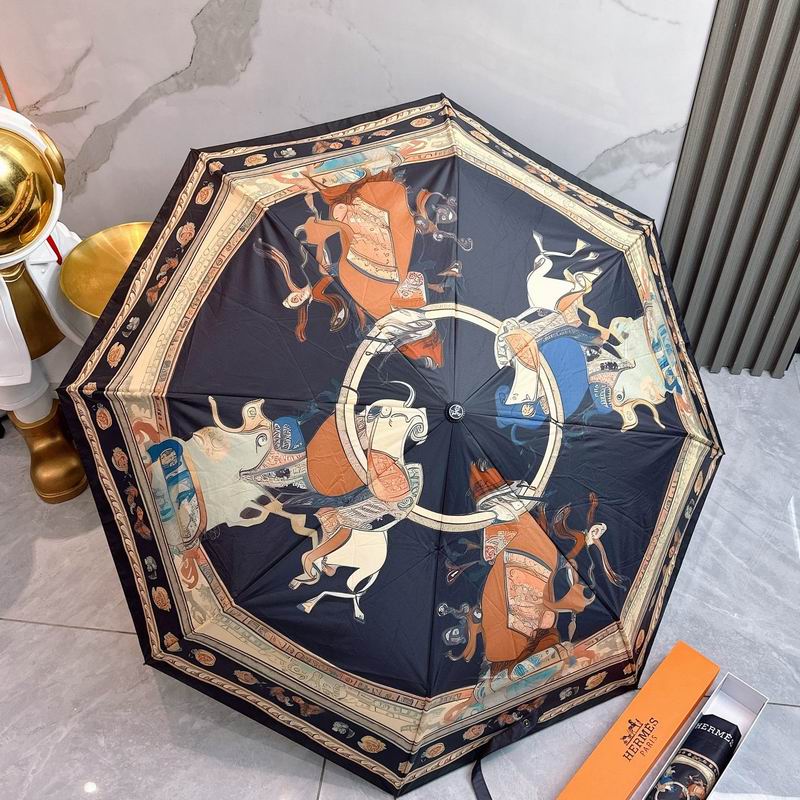Hermes Umbrella (73)