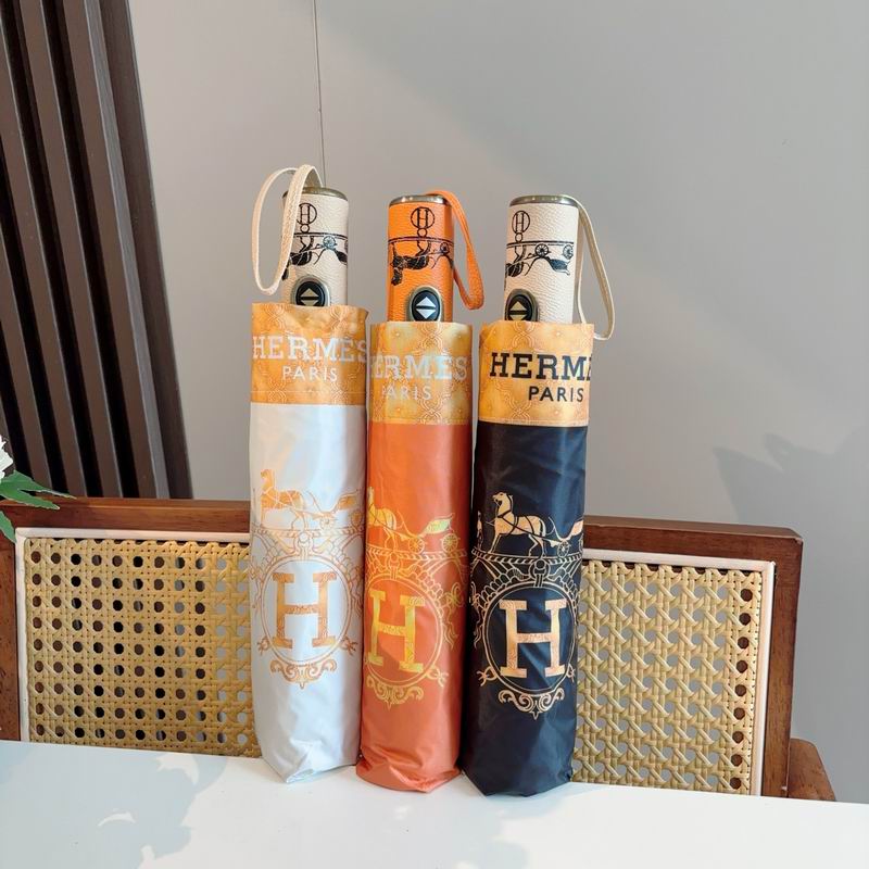 Hermes Umbrella (746)