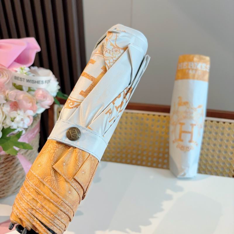 Hermes Umbrella (749)