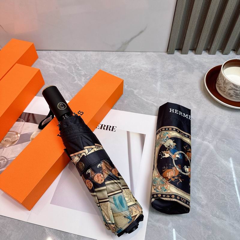 Hermes Umbrella (75)