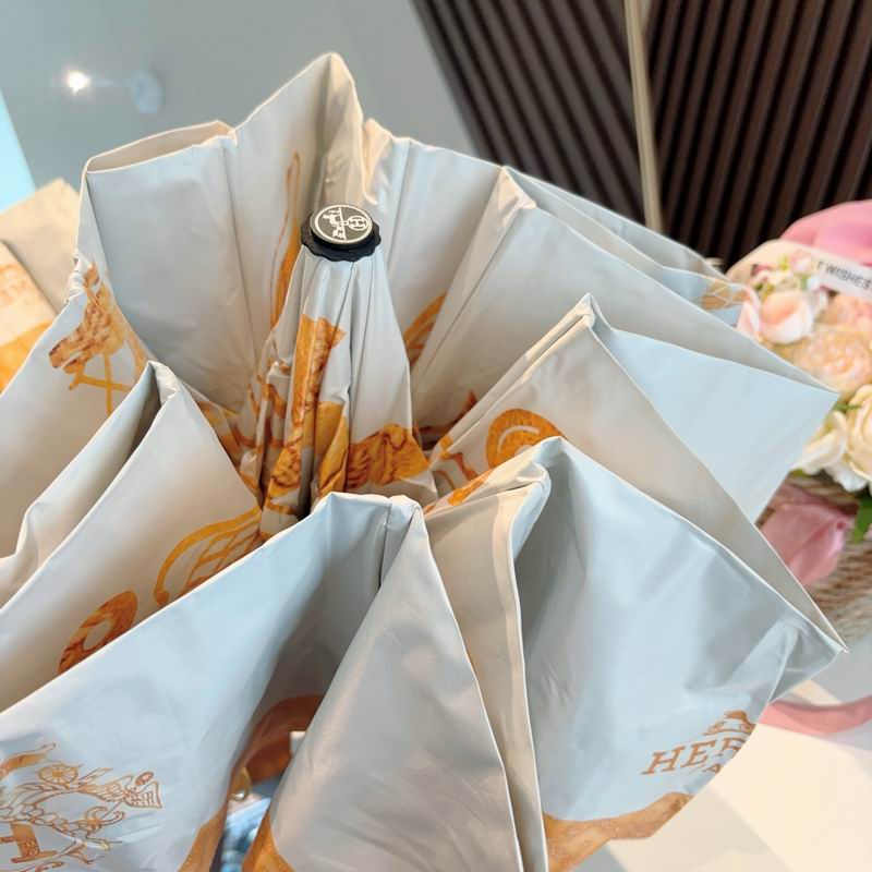 Hermes Umbrella (750)