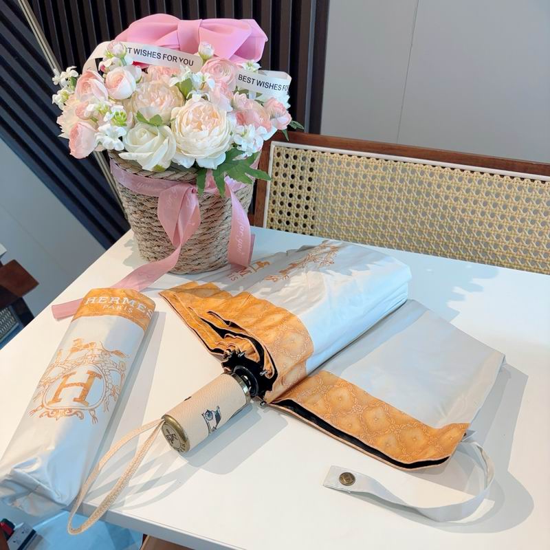 Hermes Umbrella (751)