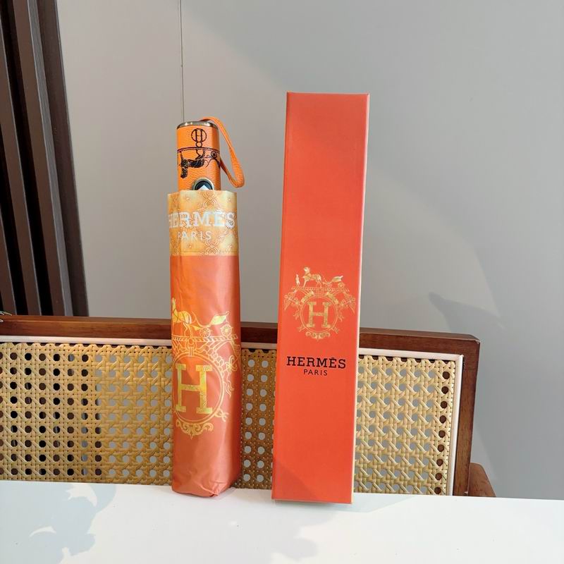Hermes Umbrella (755)
