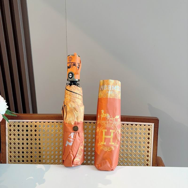 Hermes Umbrella (756)