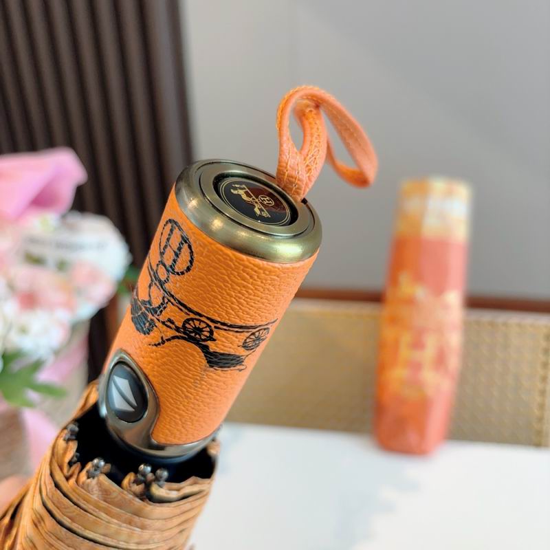 Hermes Umbrella (758)