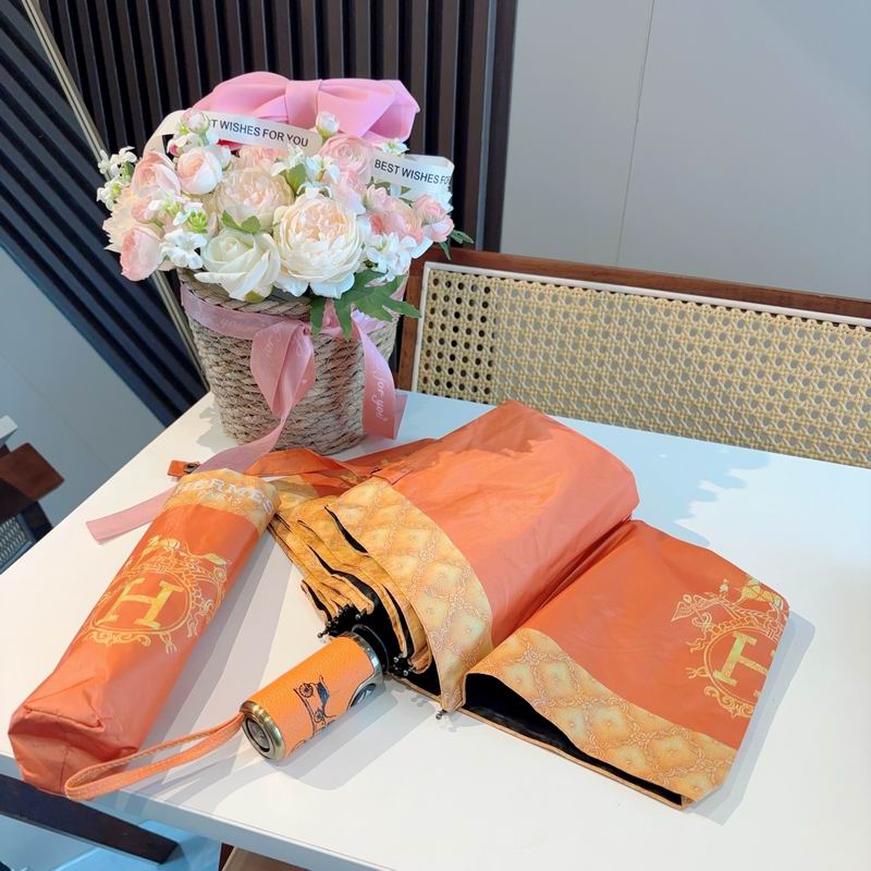 Hermes Umbrella (760)