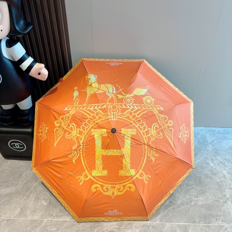Hermes Umbrella (761)