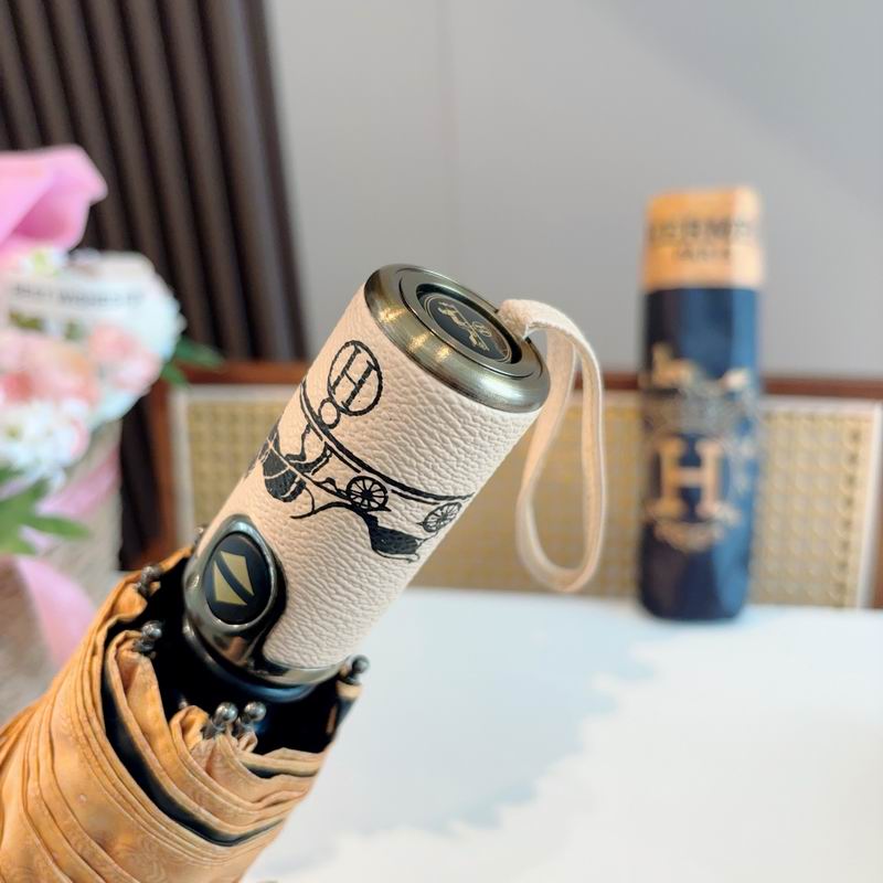 Hermes Umbrella (766)