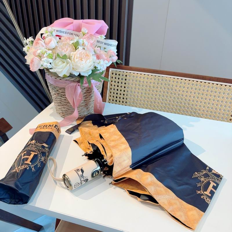 Hermes Umbrella (769)