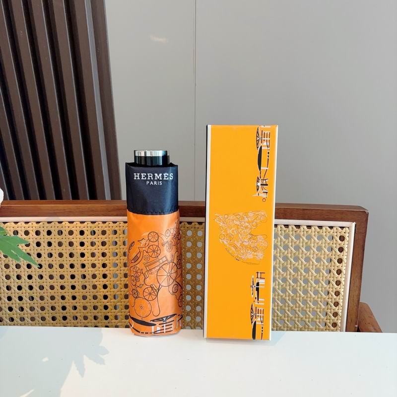 Hermes Umbrella (773)