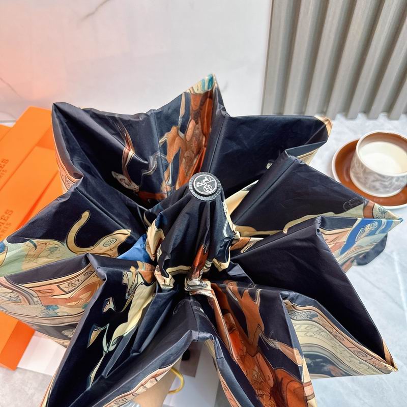 Hermes Umbrella (78)