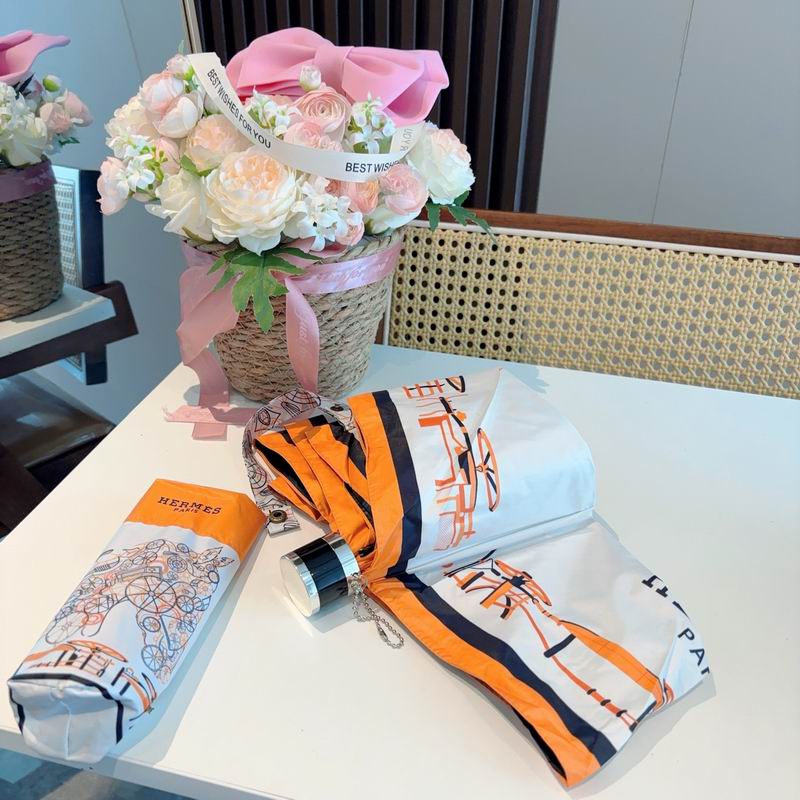Hermes Umbrella (787)
