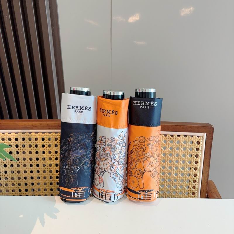 Hermes Umbrella (791)