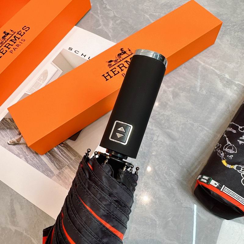 Hermes Umbrella (8)