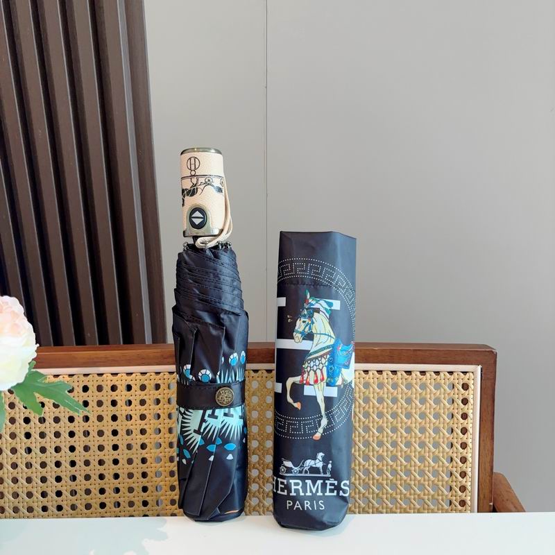 Hermes Umbrella (801)