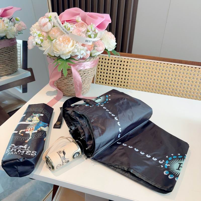 Hermes Umbrella (805)