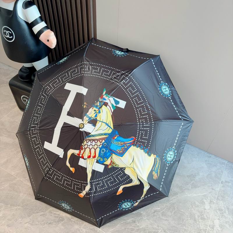 Hermes Umbrella (807)