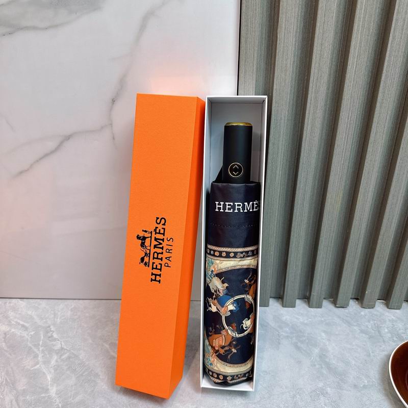 Hermes Umbrella (81)
