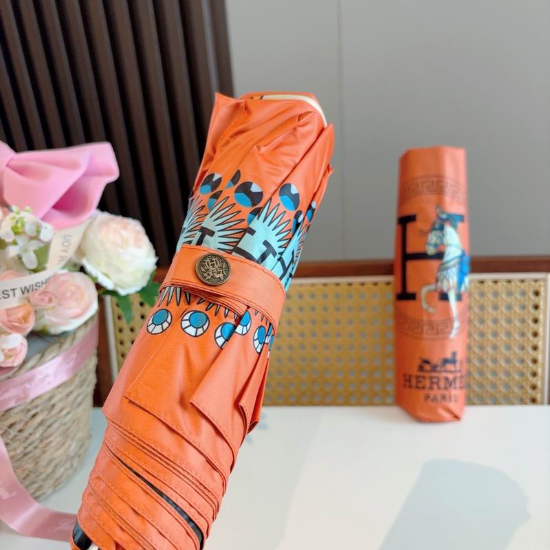 Hermes Umbrella (811)