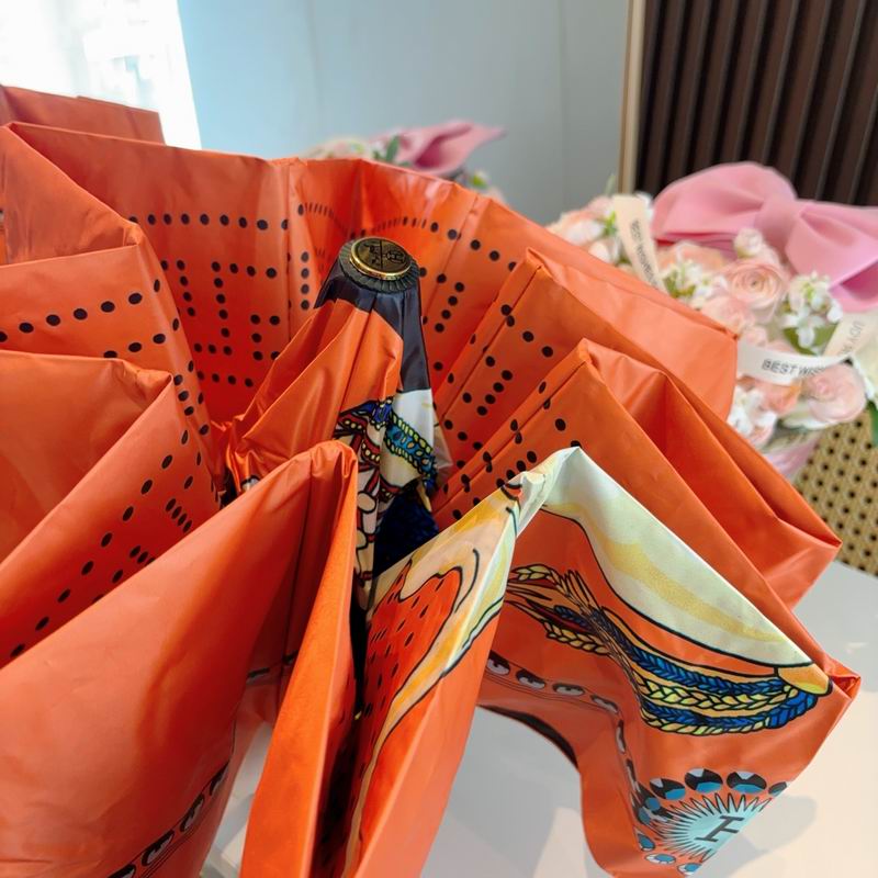 Hermes Umbrella (813)