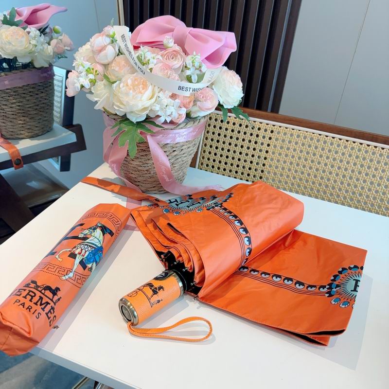 Hermes Umbrella (814)