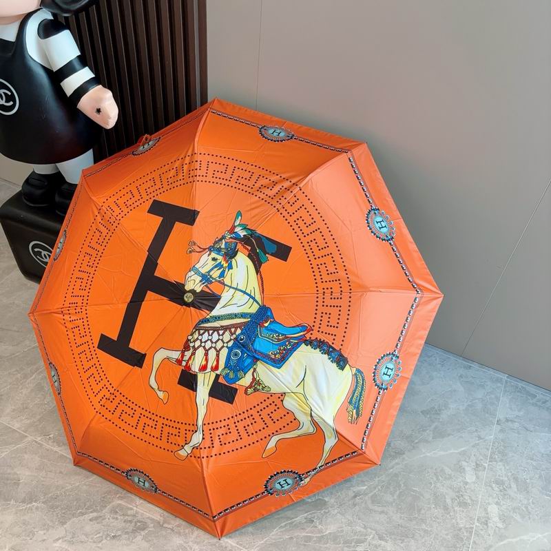 Hermes Umbrella (816)
