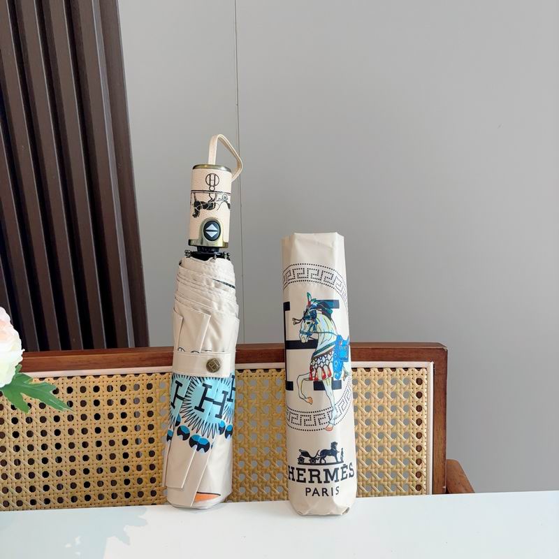 Hermes Umbrella (819)