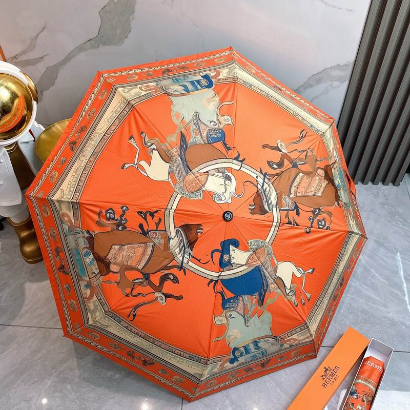 Hermes Umbrella (82)