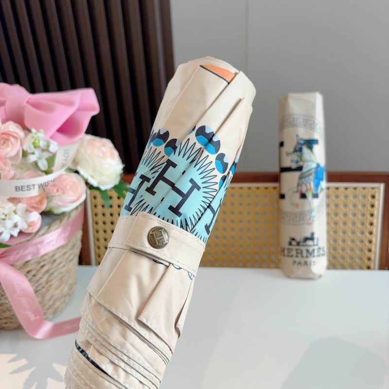 Hermes Umbrella (820)