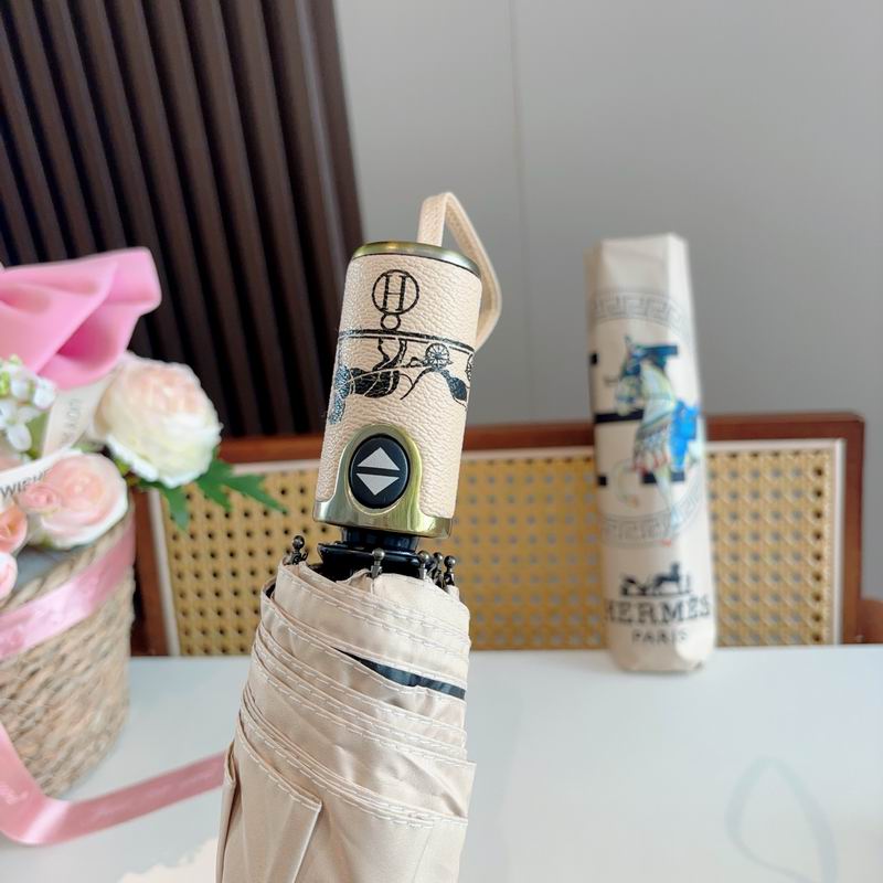 Hermes Umbrella (821)