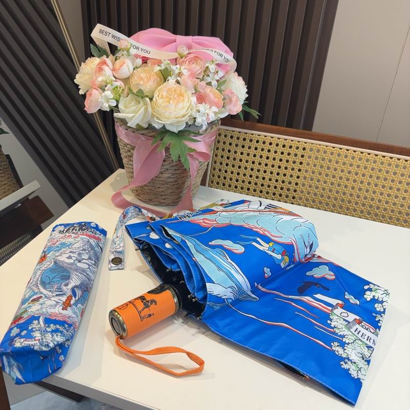 Hermes Umbrella (832)