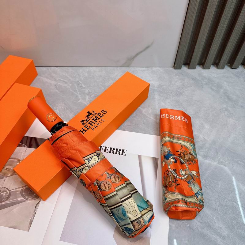 Hermes Umbrella (84)