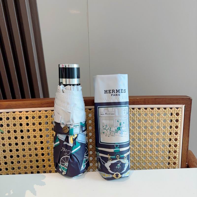 Hermes Umbrella (855)